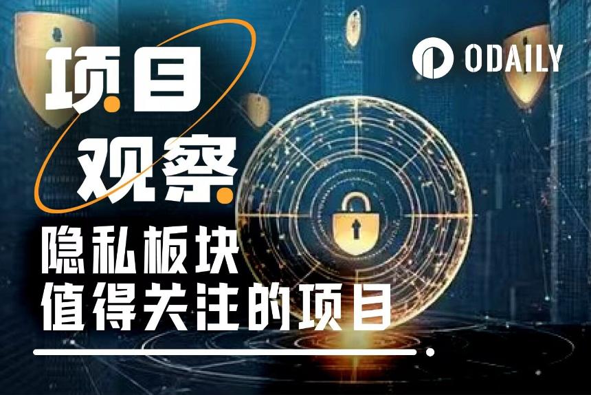 ZEC逆势上涨,隐私赛道其他潜力项目盘点