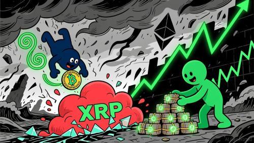 熊市生存指南：比特币、以太坊与瑞波币的战略布局与风险管理