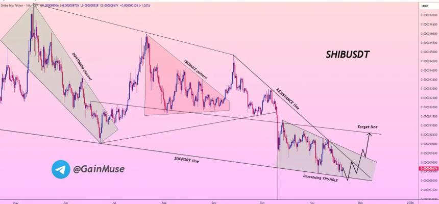 柴犬价格预测趋于保守,鲸鱼投资者为何转向囤积Remittix?