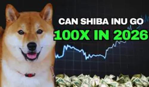 英伟达Q3财报提振市场：柴犬币2026年价格预测、TRUMP Coin分析及DeepSnitch AI百倍涨幅潜力探讨