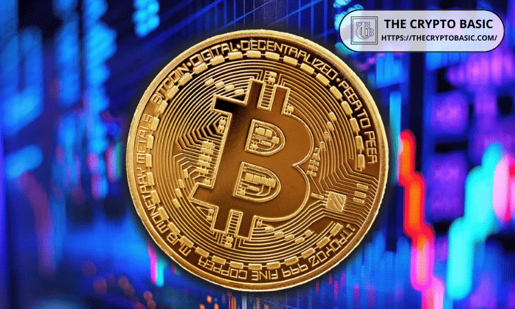  Coinbase 将收购 Solana 交易平台 Vector，以扩展链上访问 