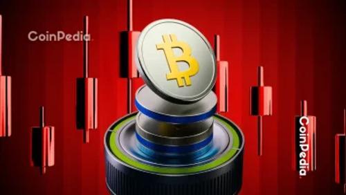 比特币11月重挫24%，山寨币逆势崛起成市场亮点