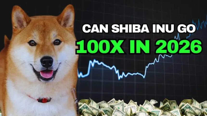 英伟达第三季度财报发布后，柴犬价格预测（2026 年），TRUMP Coin 分析，DeepSnitch 目标 100 倍涨幅