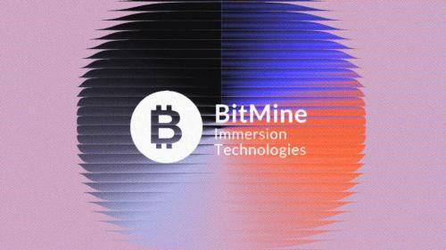 BitMine宣布年度股息派发计划，以太坊价格下跌致mNAV跌破1.0