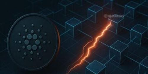 卡尔达诺区块链因错误交易短暂分裂：事件真相与社区应对