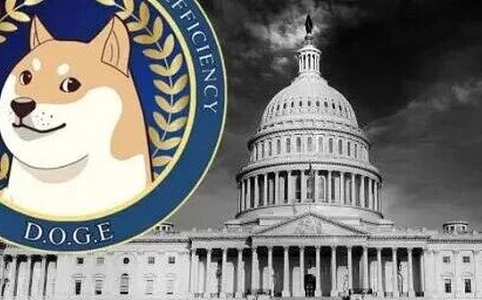 马斯克的政治实验「DOGE」：从迷因到现实的短暂旅程