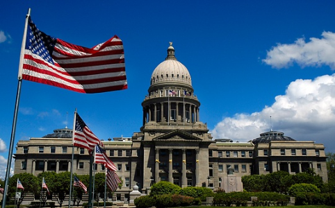 美国政府效率部解散，DeFi与NFT市场数据持续增长