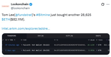 Tom Lee在市场下跌期间通过Bitmine平台购入28,625个以太坊。