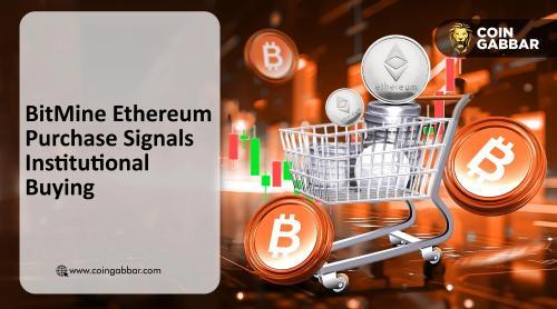 Tom Lee旗下BitMine斥资8200万美元增持以太坊，市场低迷中展现机构信心