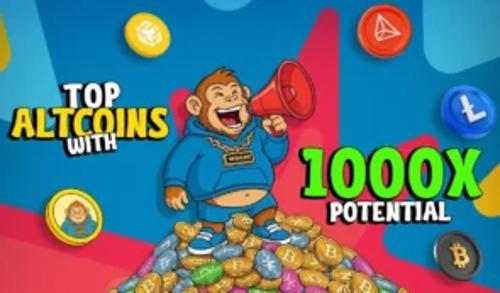 2025年加密货币新星：Apeing引领七大热门项目崛起