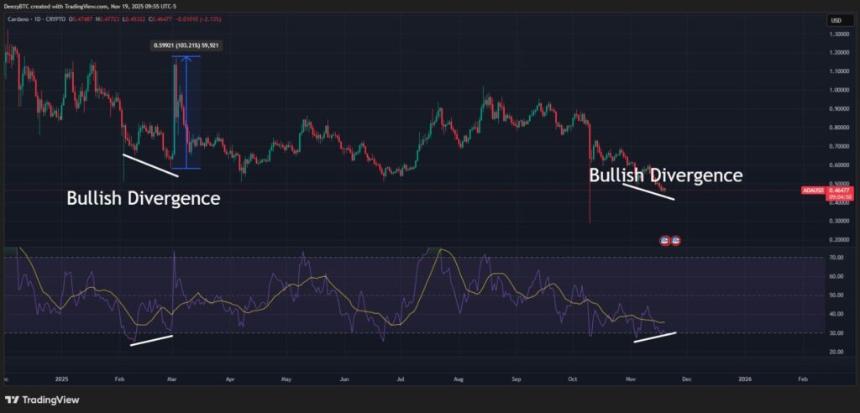 卡尔达诺网络区块生产放缓一小时，价格分析指向0.30美元。