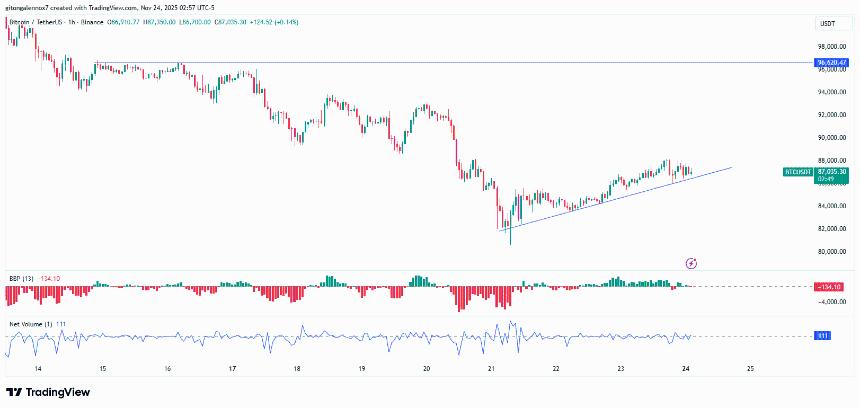 今日市场上最热门的加密货币