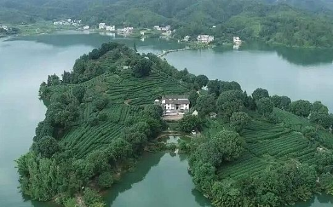 跨国资产争夺战：太子集团陈志150亿资产被美国司法部没收的背后