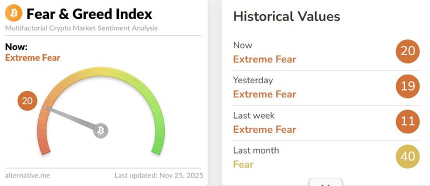 11月25日加密货币市场动态:XRP、MON、SOL 飙升,ZEC 下跌