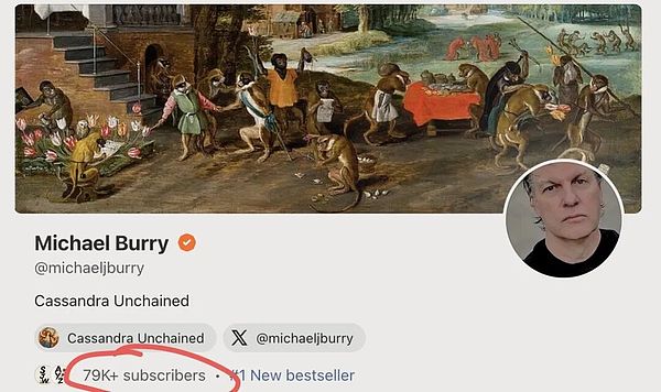 一边做空英伟达一边收割3000万美元订阅费?大空头Burry最新深度长文:为何我看空一切