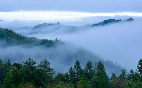 AI业务不赚钱？DeAI曙光已现