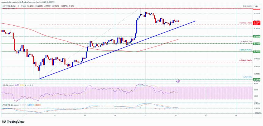 XRP价格稳中有升，或迎新一轮上涨行情
