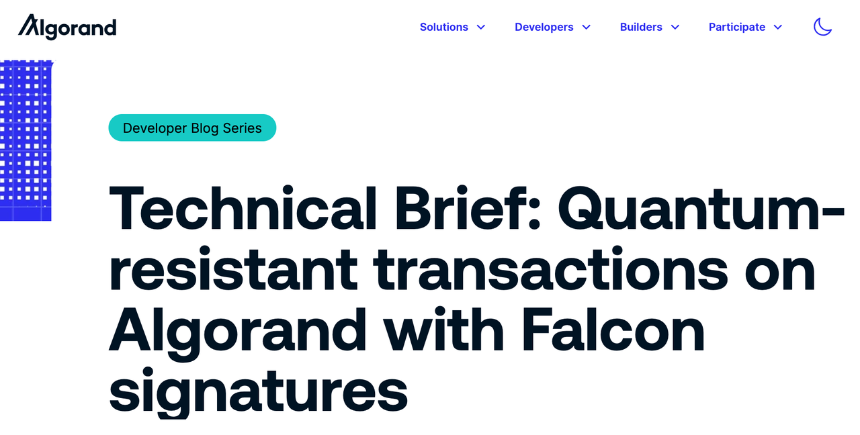 量子计算机下的黑暗森林:比特币用户、L1项目与链上生存指南