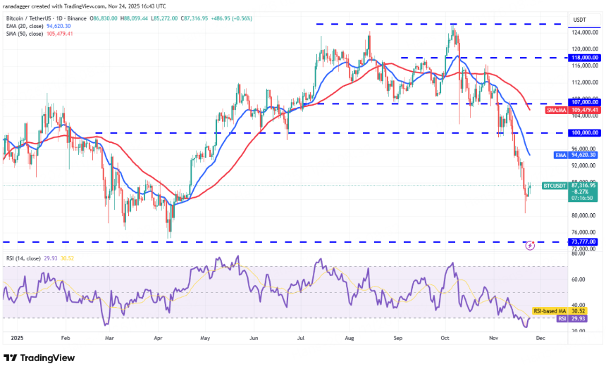 BitMart Insights:11月加密市场回顾与热点剖析