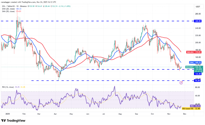 BitMart Insights:11月加密市场回顾与热点剖析