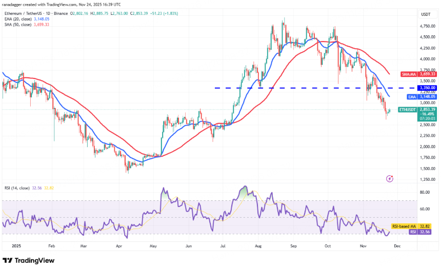 BitMart Insights:11月加密市场回顾与热点剖析
