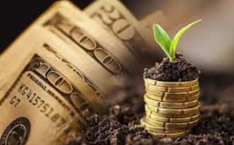 市场“打折季”——巨鲸悄然布局哪些赛道？