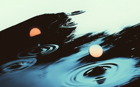 预测市场的泡沫：当「真理」成为赌局