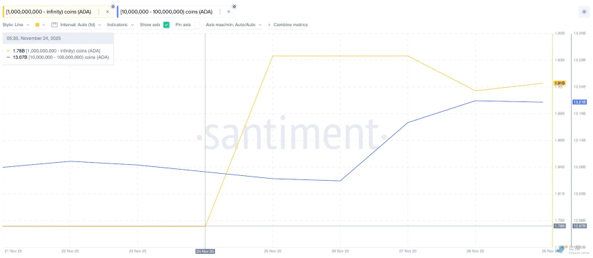 市场“打折季”,巨鲸囤了些啥?