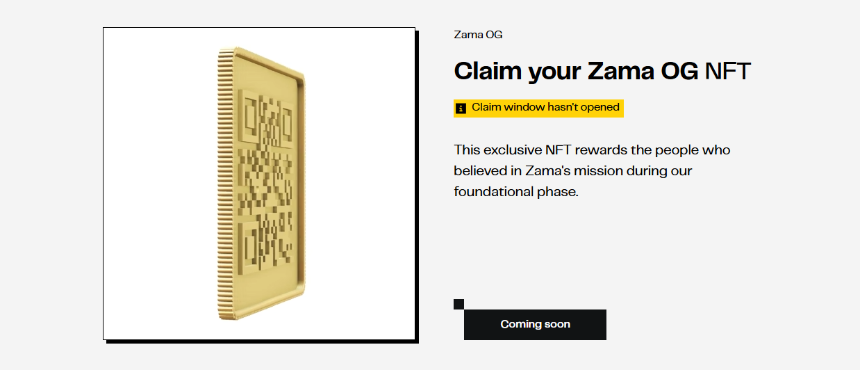 深入了解Zama公售：密封荷兰拍规则与参与指南