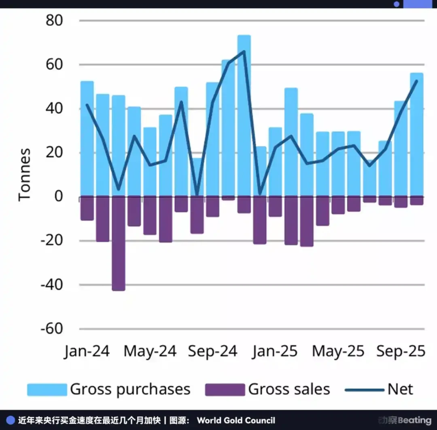 摩根大通倒戈华尔街:囤积白银,卡位黄金,做空美元信用