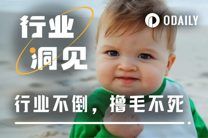 2025撸毛生存法则:昔日遍地黄金,如今全靠这两张底牌