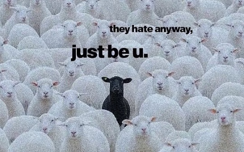 在加密行业的时间是否浪费？深度解析个人成长与行业价值