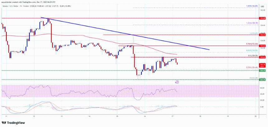  Solana (SOL) 失去上涨势头——卖方能否再次掌控局面？ 
