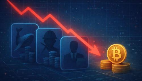 链上数据分析：比特币回调背后的真正卖家是谁？