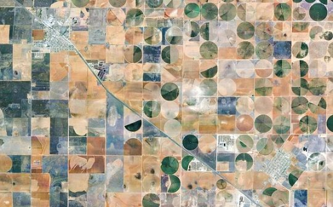 资产价格分化加剧：AI泡沫风险与商品牛市并存