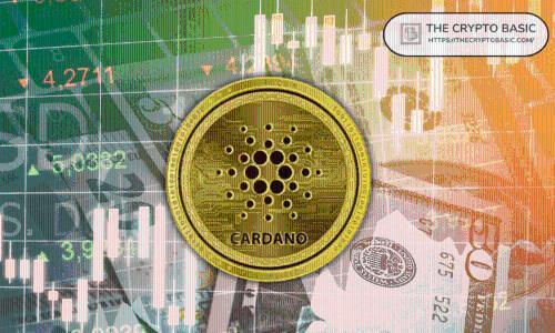 Cardano链上活动显著增加，NIGHT代币交易量突破13.1万笔