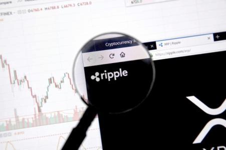 2025年XRP持有量排名：Ripple主导市场，交易所份额显著变化