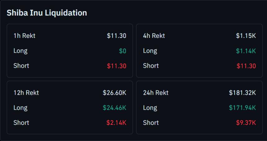 Shiba Inu Liquidation