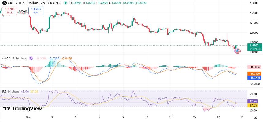 XRP 2026年第一季度预测:从1美元风险警报到5美元潜力冲刺