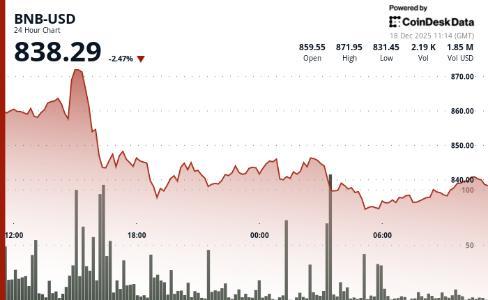 BNB稳居加密货币市值第四位，尽管价格承压但网络采用率持续攀升