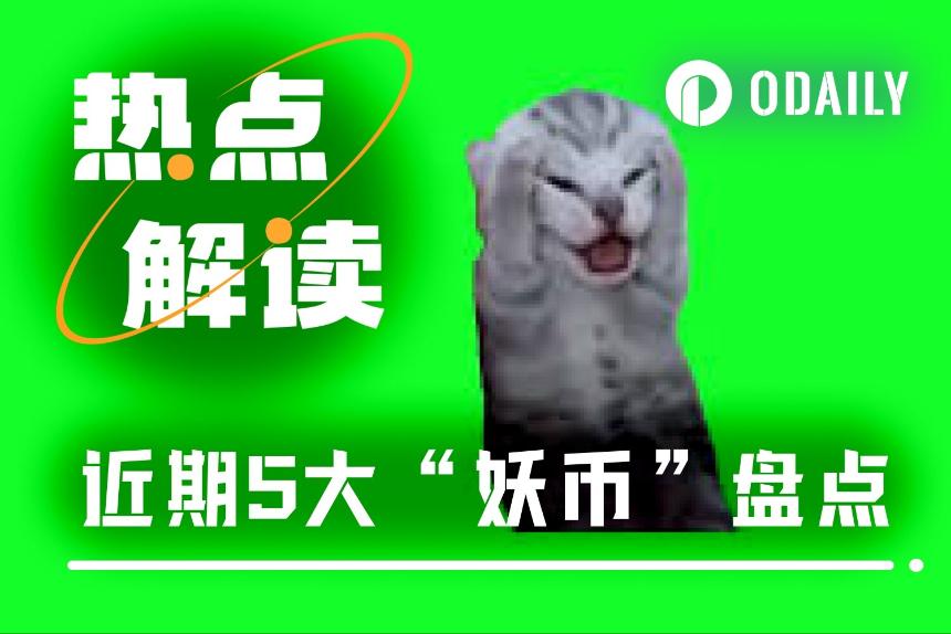 逆市暴涨的五大加密货币,谁将成为下一个投资热点?