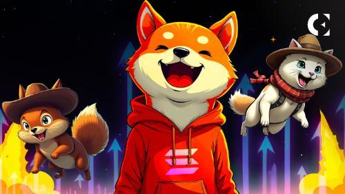 美国位居 CoinGecko 模因币兴趣排行榜榜首，全球热潮逐渐消退