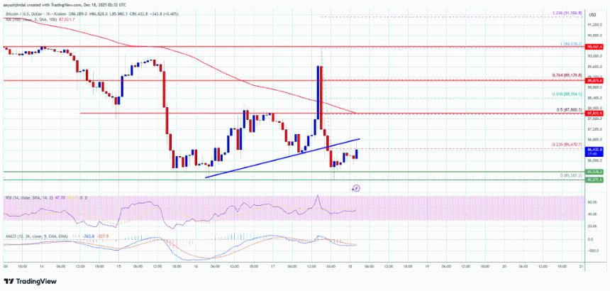 比特币价格在9万美元关口受阻，面临进一步下行风险