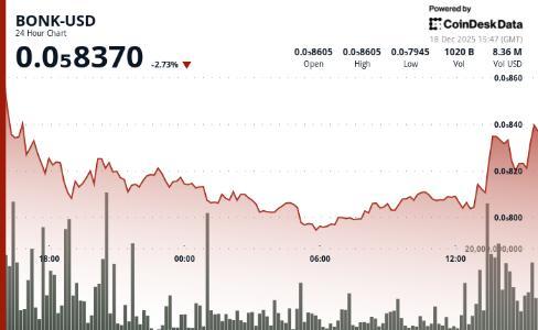 BONK 下跌 6.2% 成交量放大暗示关键技术位或迎调整