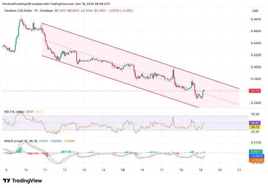  卡尔达诺价格预测：政治不确定性加剧下降通道压力 