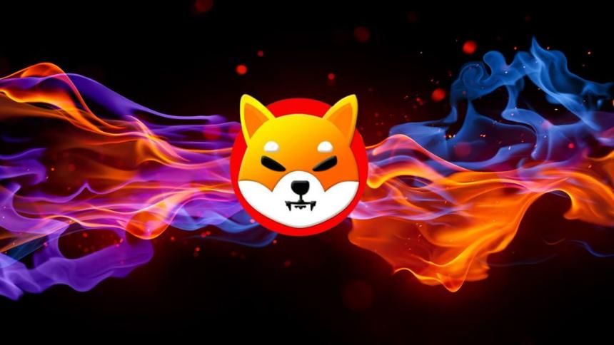 Shiba Inu Burn Fire