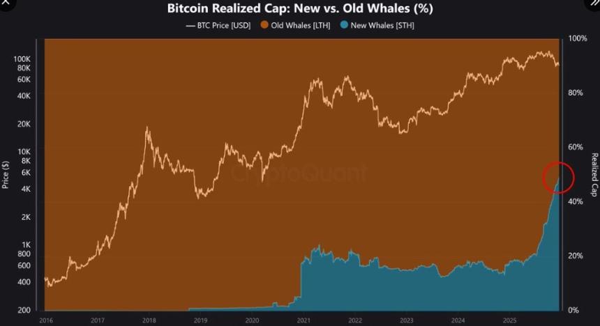 比特币价格分析：巨鲸活动增加，但市场仍面临看跌压力