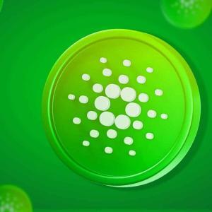 Carda<span class='keyword'>n</span>o创始人Hoski<span class='keyword'>n</span>so<span class='keyword'>n</span>爆料：<span class='keyword'>N</span>IGHT交易量超越XRP和SOL，隐私币新星能否持续崛起？