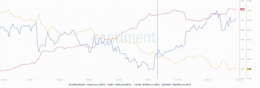  2026 年加密货币十大预测：机构需求和大型银行或将推高比特币价格 