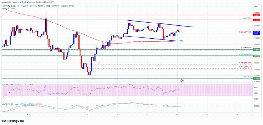 XRP价格反弹引发市场关注：上涨动能能否持续？